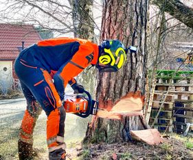 Trädfällare i Haninge Vendelsö Västerhaninge Tyresö Nacka Hudding